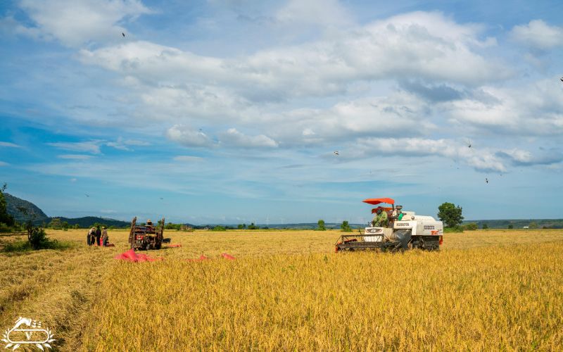 اجاره تجهیزات کشاورزی در لاهیجان