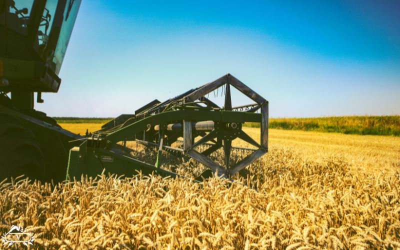 اجاره تجهیزات کشاورزی | دستگاه های حرفه ای با قیمت اقتصادی 3 اجاره دستگاه های کشاورزی (1)