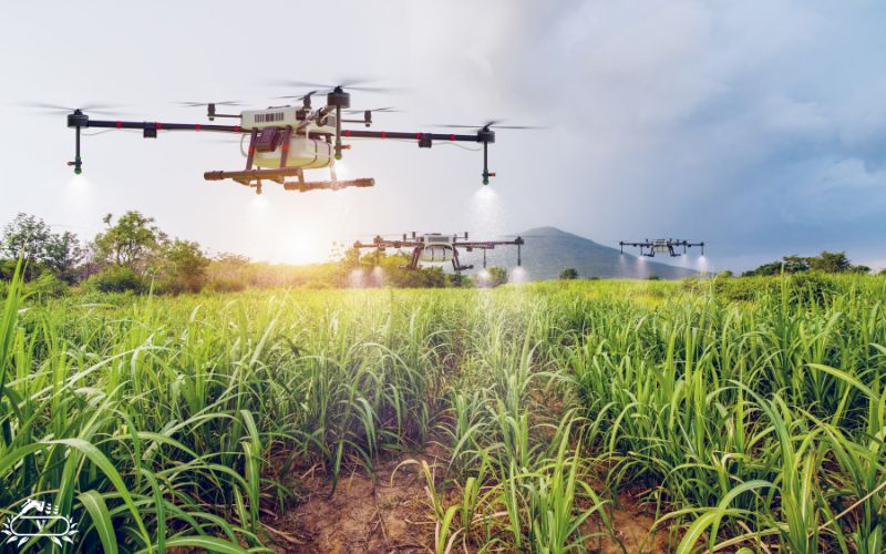 اجاره دستگاه های کشاورزی