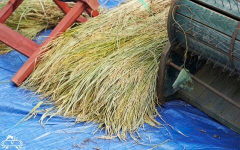 اجاره دستگاه های کشاورزی در رشت