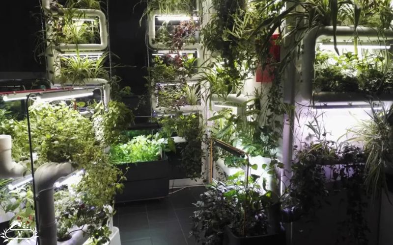 اجرای گرین وال تهران