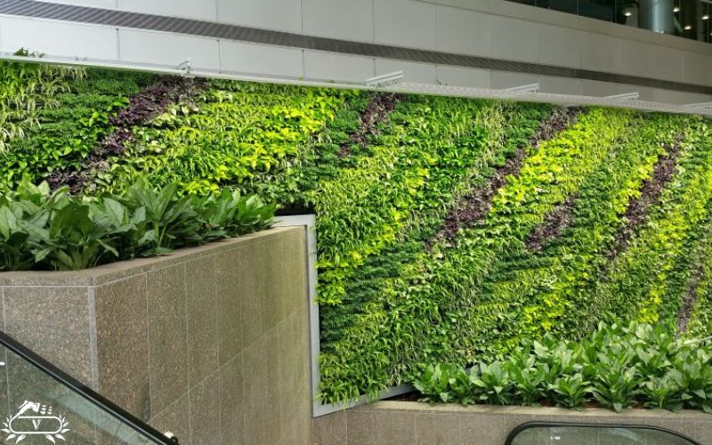 اجرای گرین وال تهران