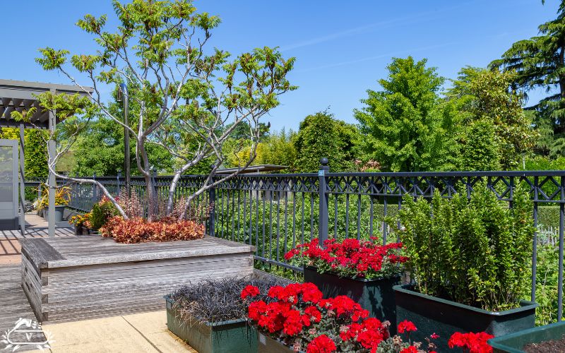 طراحی و اجرای روف گاردن در تهران