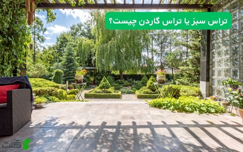 تراس سبز یا تراس گاردن چیست؟
