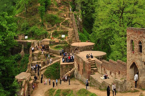 خدمات هرس و فرم دهی گیاهان