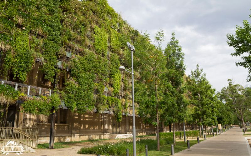 روش ساخت دیوار سبز