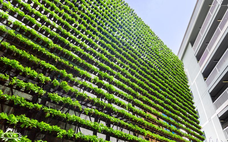 روش ساخت دیوار سبز