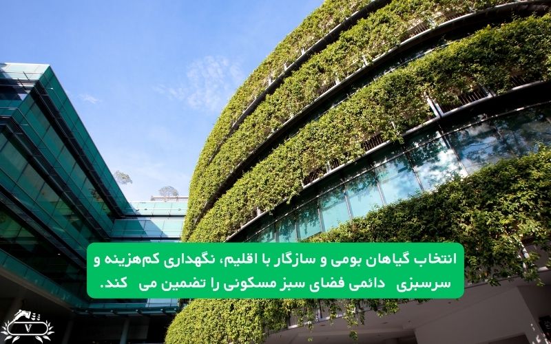 قوانین طراحی فضای سبز مسکونی