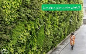 گیاهان مناسب برای دیوار سبز