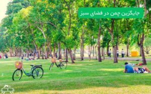 جایگزین چمن در فضای سبز