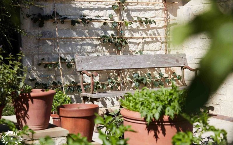 راهنمای جامع حیاط سازی شیک و تزیین حیاط اقتصادی 1 حیاط سازی شیک